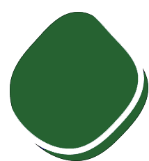 shape-img