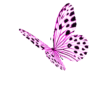 shape-img